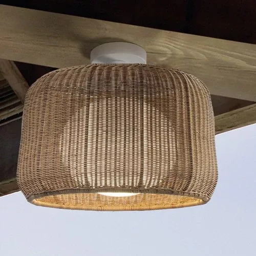 Fora Outdoor Ceiling Light